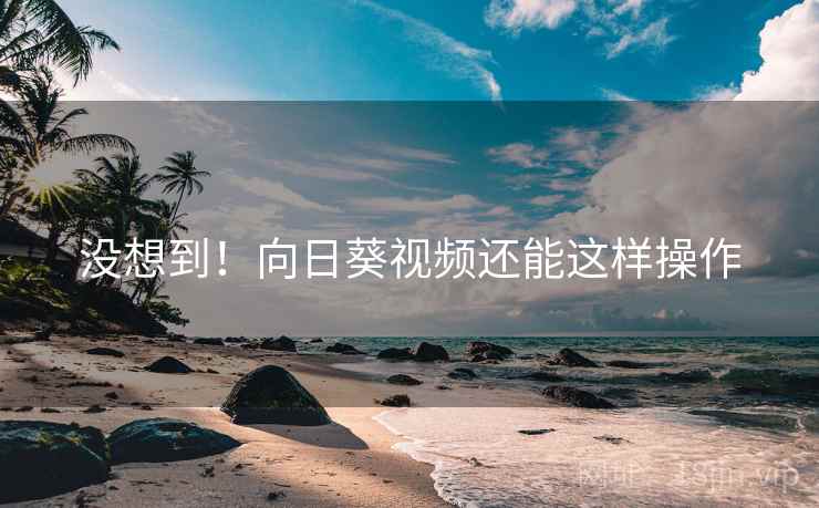 没想到!向日葵视频还能这样操作